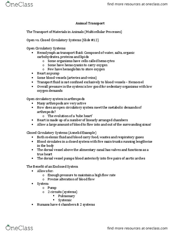 BIO 203 Lecture Notes - Lecture 22: Tracheal Tube, Gas Exchange, Abdominal Cavity thumbnail