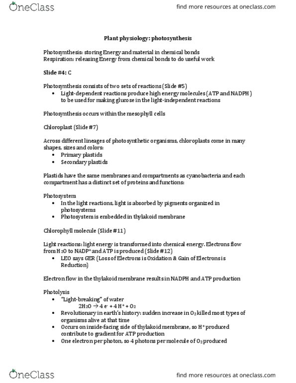 BIO 203 Lecture Notes - Lecture 23: Vascular Bundle, Ground Tissue, Crassulaceae thumbnail