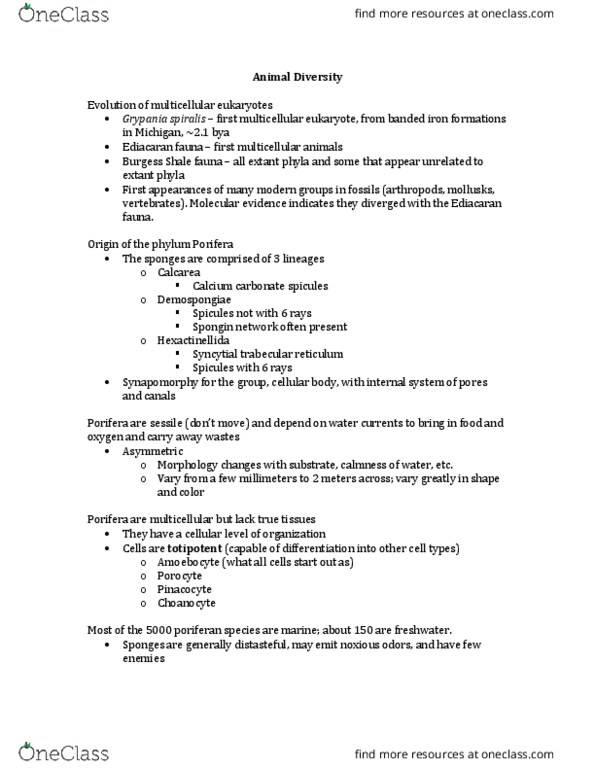 BIO 203 Lecture Notes - Lecture 34: Dinoflagellate, Myelin, Overfishing thumbnail