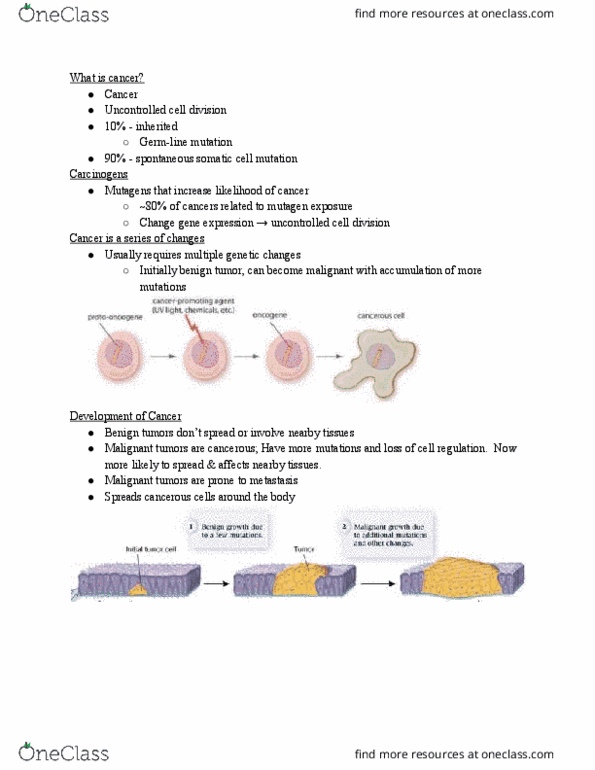 BIO 111 Lecture 20: BIO 111 11/23/16 thumbnail