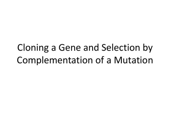 BIOL 3110 Lecture Notes - Horizontal Gene Transfer, Selectable Marker, Dut1 thumbnail