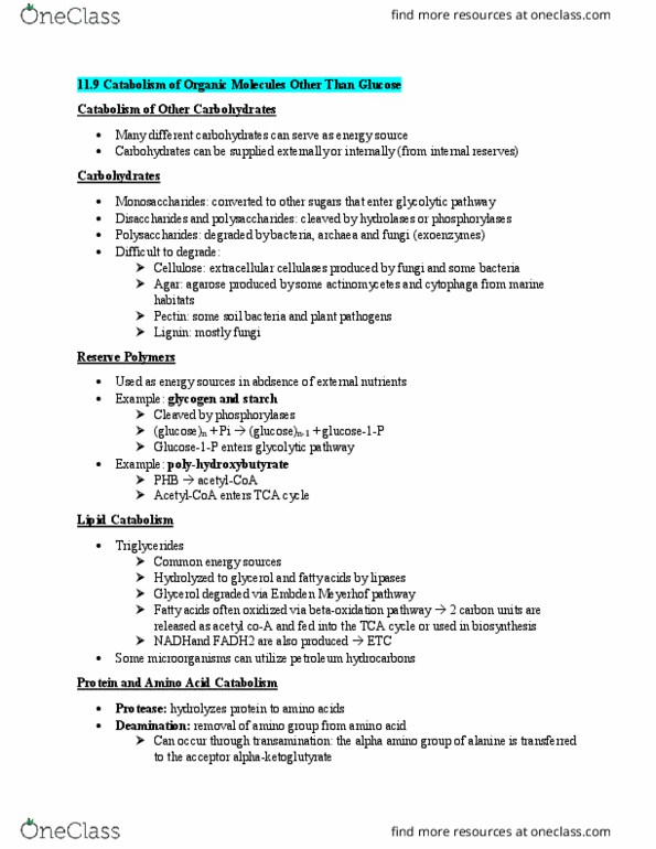 BLG 151 Lecture 11: Chapter 11 (continued part 11.9-11.11) notes thumbnail