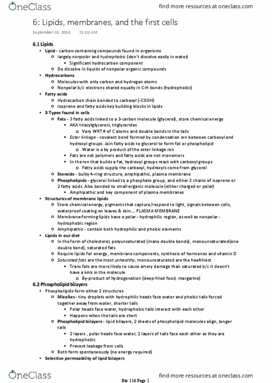 BIOL 116 Lecture Notes - Lecture 1: Peripheral Membrane Protein, Glycerol, Isoprene thumbnail