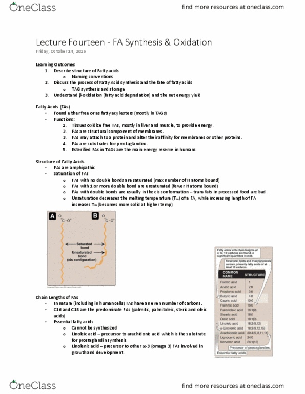 BCHM 102 Lecture Notes - Lecture 14: Cytosol, Insulin, Apolipoprotein thumbnail