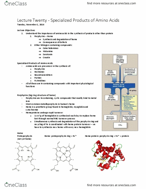 BCHM 102 Lecture Notes - Lecture 20: Antihistamine, Glucuronic Acid, Glucuronosyltransferase thumbnail