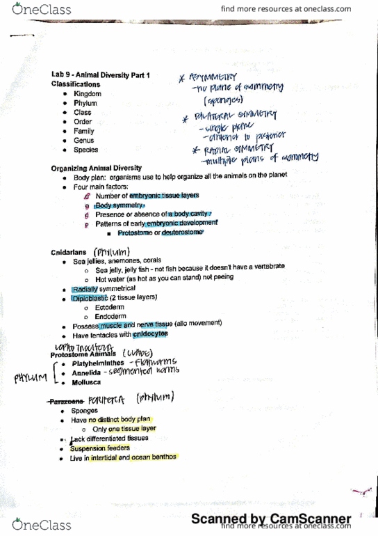 BIO 123 Lecture 9: Lab 9 Study Guide thumbnail