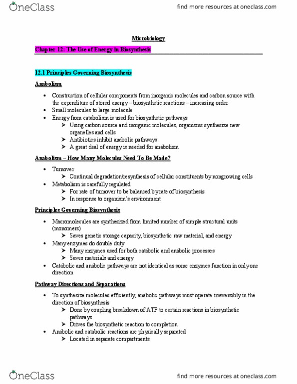 BLG 151 Lecture Notes - Lecture 12: Ribose, Leghemoglobin, Anaplerotic Reactions thumbnail