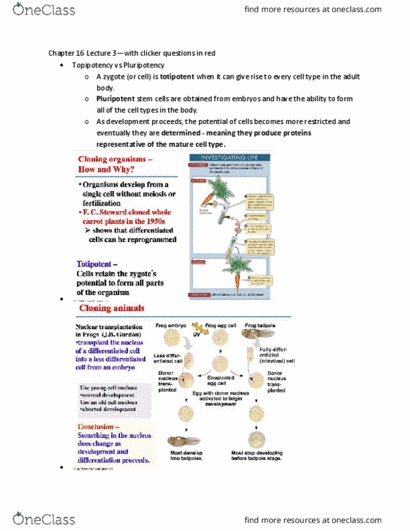 LIFE 120 Lecture Notes - Lecture 37: G Protein–Coupled Receptor, Blastocyst, Embryonic Stem Cell thumbnail