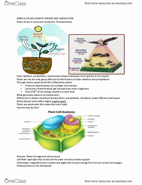 IB 105 Lecture Notes - Lecture 16: Biotic Component, Organelle, Light-Dependent Reactions thumbnail