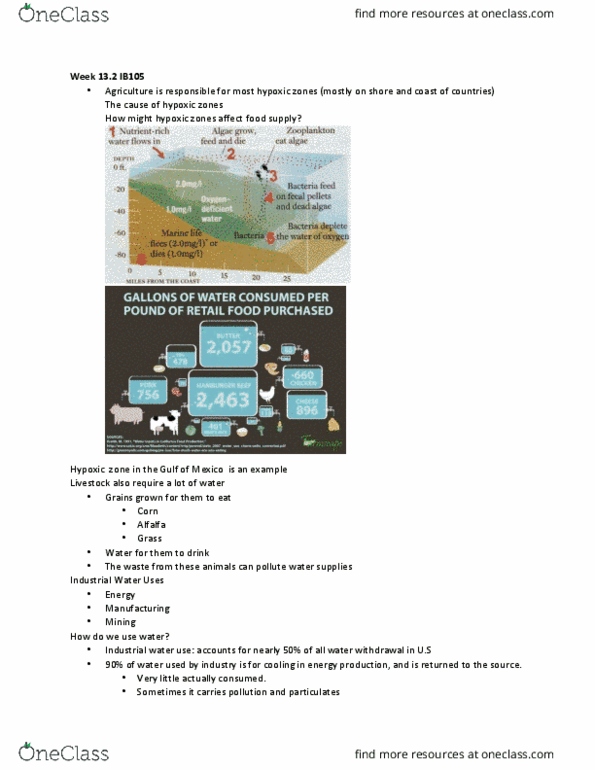 IB 105 Lecture Notes - Lecture 26: Blue Baby Syndrome, Major Force, Hemoglobin thumbnail