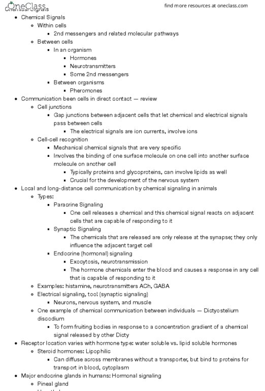 BSC-2010 Lecture Notes - Lecture 16: Blood Sugar, Protein Kinase A, Duodenum thumbnail