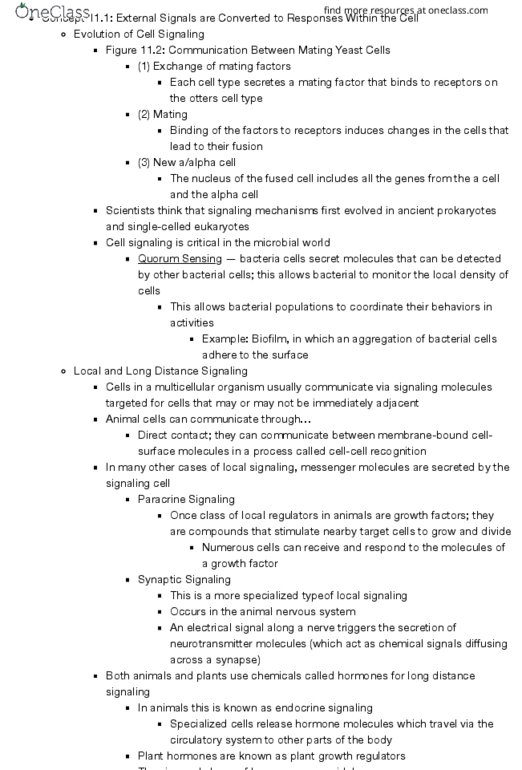 BSC-2010 Chapter Notes - Chapter 11: Cyclic Adenosine Monophosphate, Mating Of Yeast, Adenylyl Cyclase thumbnail