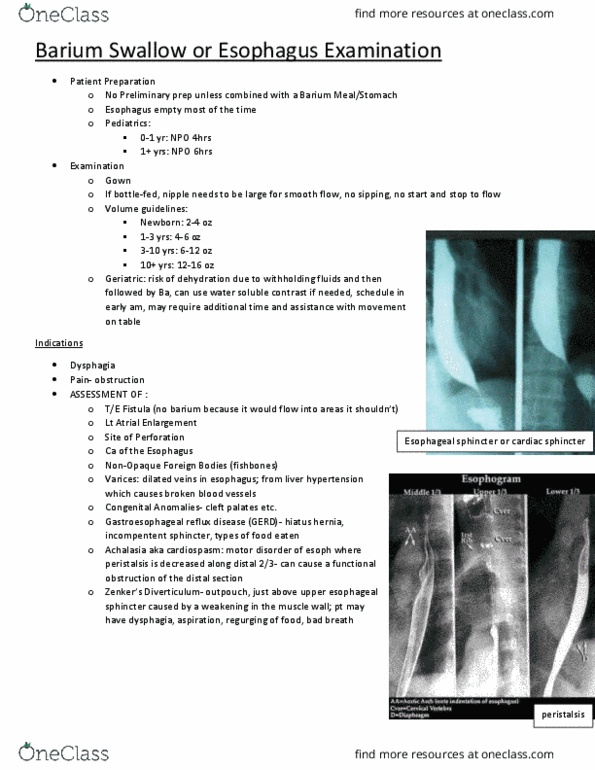 MEDRADSC 2I03 Lecture 3: Upper Gastric Procedures thumbnail