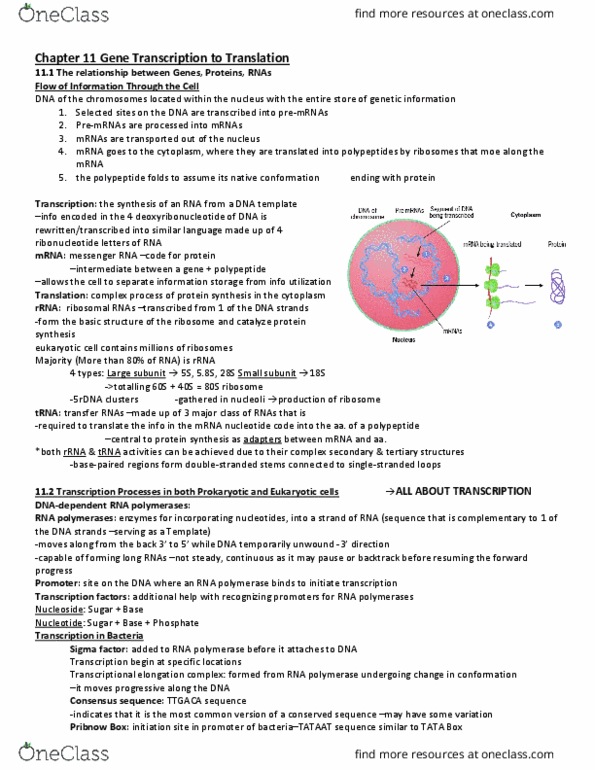HSS 2305 Chapter 11: 07. Molecular Mechanism of Disease Textbook Note Chapter 11 thumbnail