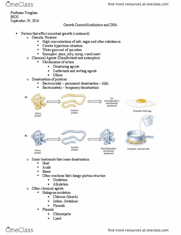 BIOS10115 Lecture Notes - Lecture 9: Chemotherapy, Povidone-Iodine, Purell thumbnail