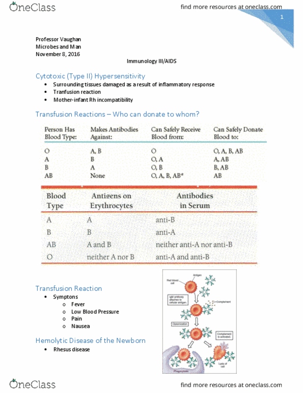 BIOS10115 Lecture Notes - Lecture 16: Systemic Lupus Erythematosus, Hemolytic Disease Of The Newborn, Rheumatoid Arthritis thumbnail