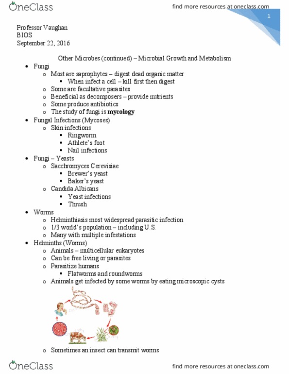 BIOS10115 Lecture Notes - Lecture 7: Rocky Mountain Spotted Fever, Western Equine Encephalitis Virus, Chagas Disease thumbnail