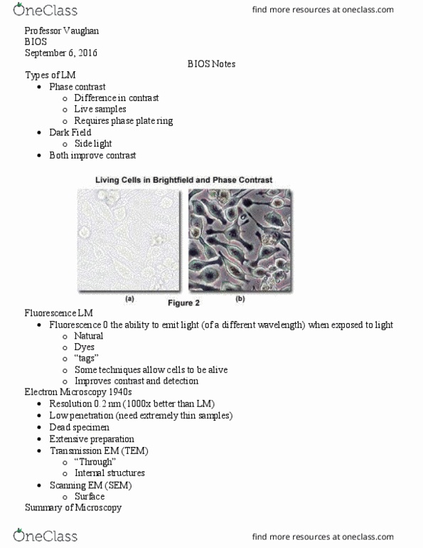 BIOS10115 Lecture Notes - Lecture 4: Electron Microscope, Microscopy, Ribosomal Rna thumbnail