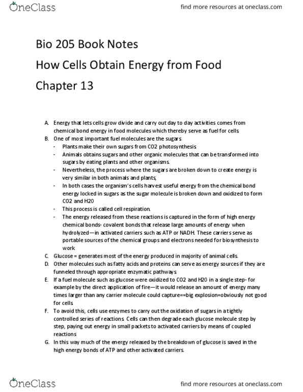 BIOL 205 Chapter 13: Bio 205 Book Notes- HOw Cells Obtain Energy from Food thumbnail
