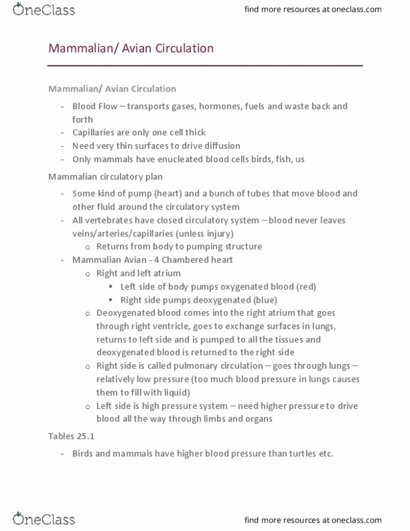 Biology 2601A/B Lecture 13: Lecture 13 - Mammalian:Avian thumbnail