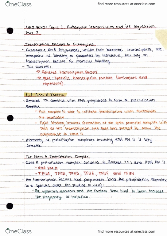 MBG 4080 Lecture Notes - Lecture 2: Tata Box, Transcription Preinitiation Complex, Tata-Binding Protein thumbnail