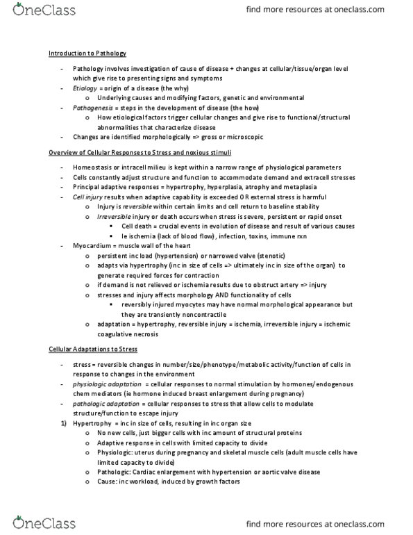 Pathology 3240A Chapter Notes - Chapter 1: Epithelium, Coagulative Necrosis, Respiratory Epithelium thumbnail