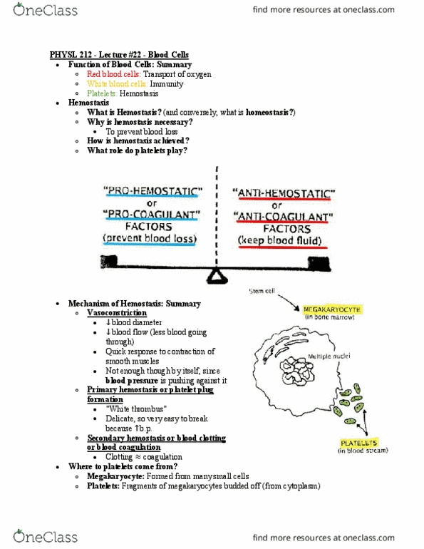 PHYSL212 Lecture Notes - Lecture 22: Thrombus, Platelet, Vasoconstriction thumbnail