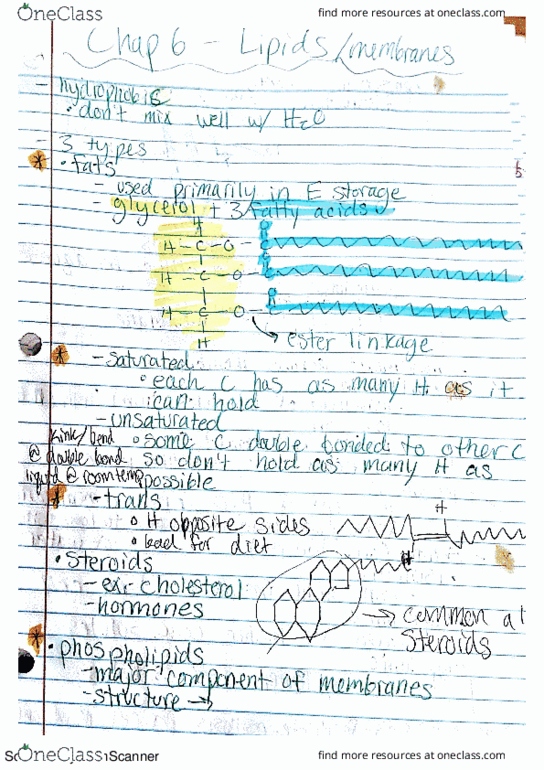 BIOL 120 Chapter 6: Chapter 6- Lipids and Membranes thumbnail