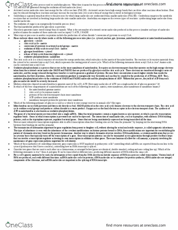 BIOL 205 Lecture Notes - Lecture 7: Acetyl-Coa, Oxidative Phosphorylation, Glycolysis thumbnail