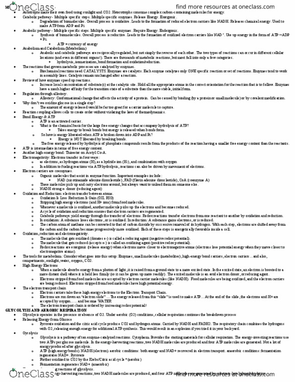 BIOL 205 Lecture Notes - Lecture 8: Acetyl-Coa, Pyruvate Dehydrogenase Complex, Oxidative Phosphorylation thumbnail