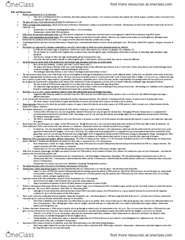 BIOL 205 Lecture Notes - Lecture 4: Dna Replication, Noncoding Dna, Nuclear Dna thumbnail