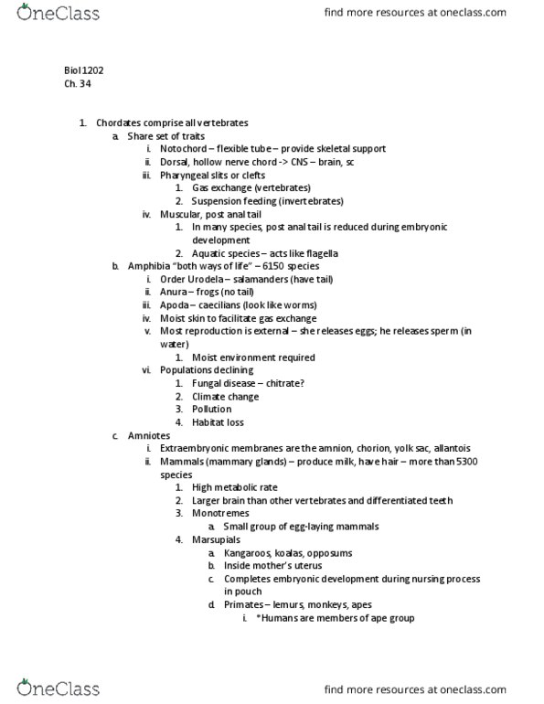 BIOL 1202 Lecture 7: Biol 1202 Ch 34 thumbnail