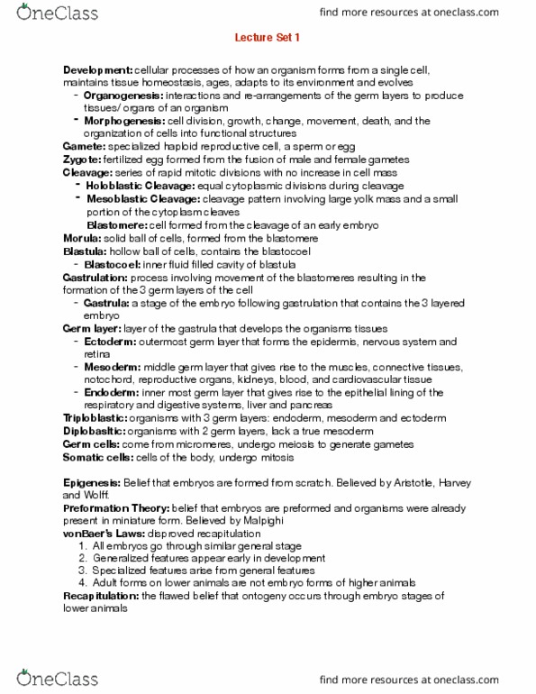 BIOL303 Lecture Notes - Lecture 1: Germ Layer, Germ Cell, Blastomere thumbnail