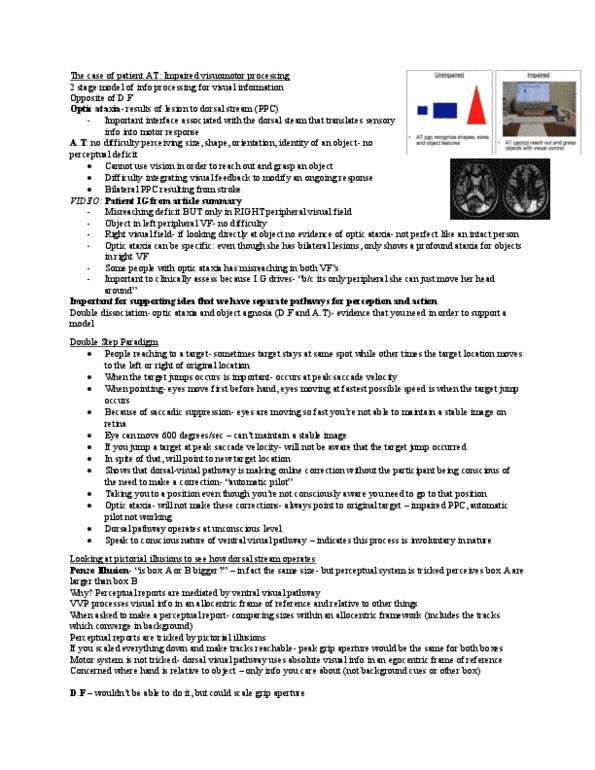 Kinesiology 3480A/B Lecture Notes - Lecture 10: Two-Streams Hypothesis, Ataxia, Autopilot thumbnail