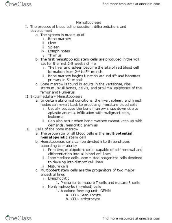 BISC 341 Lecture Notes - Lecture 2: Hematopoietic Stem Cell, Aplastic Anemia, Red Blood Cell thumbnail