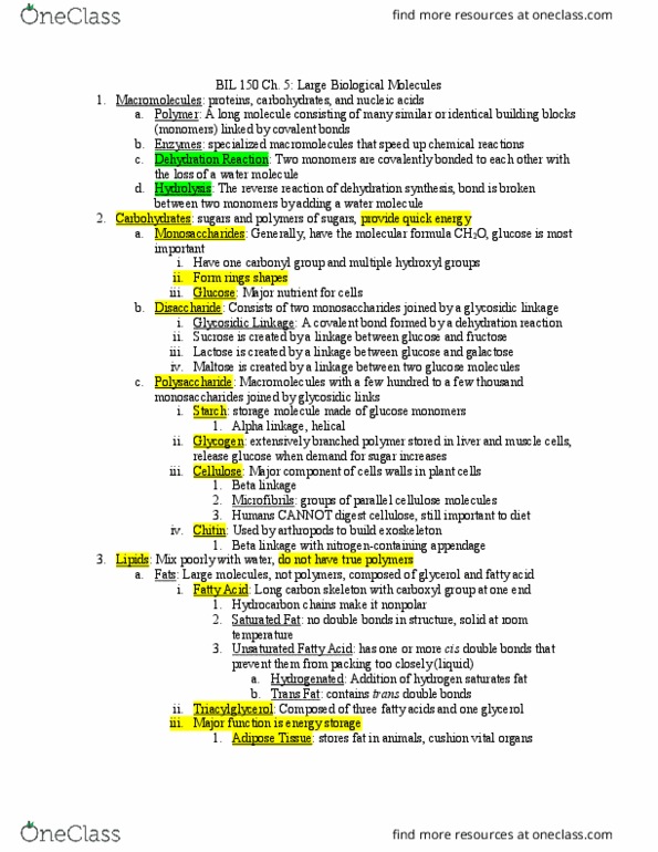 BIL 150 Chapter Notes - Chapter 5: Glycosidic Bond, Trans Fat, Dehydration Reaction thumbnail