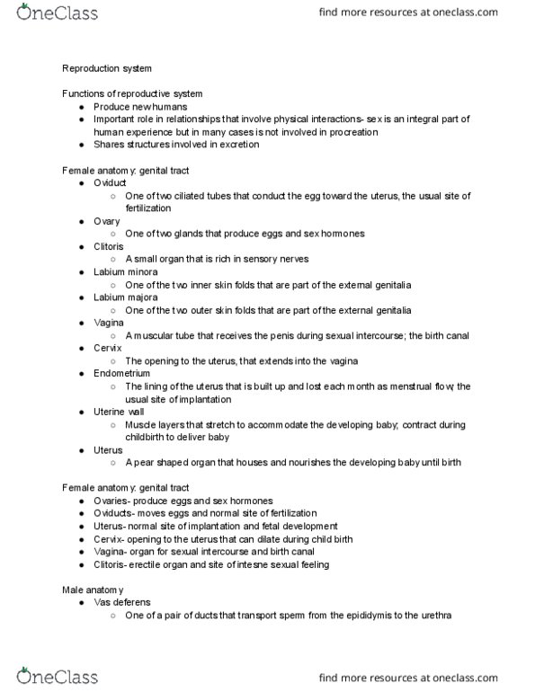 HSCI 100 Lecture Notes - Lecture 19: Vas Deferens, Erectile Tissue, Oviduct thumbnail