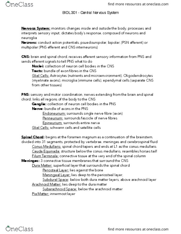 BIOL301 Lecture Notes - Lecture 12: Conus Medullaris, Foramen Magnum, List Of Lumbar Nerves thumbnail