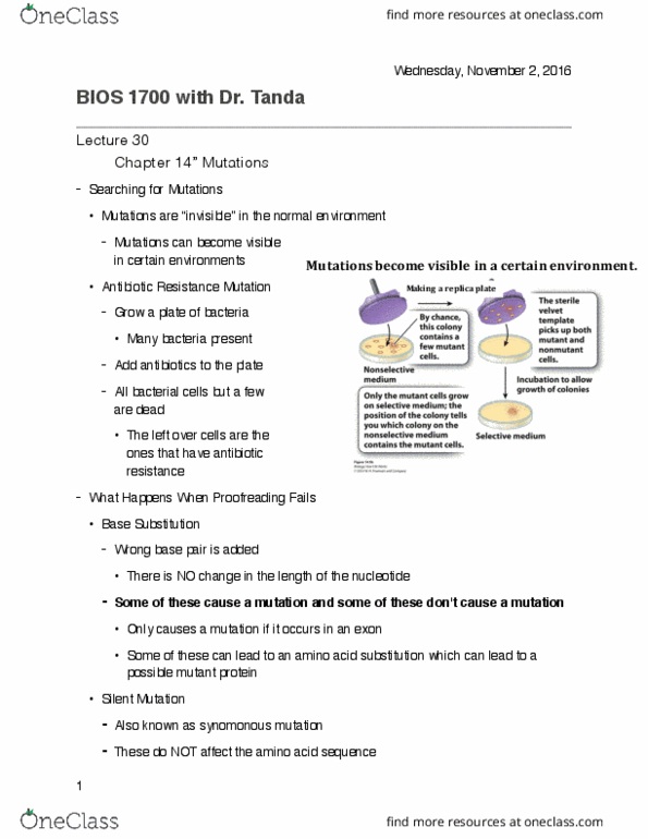 BIOS 1700 Lecture Notes - Lecture 31: Cystic Fibrosis, Missense Mutation, Nonsense Mutation thumbnail