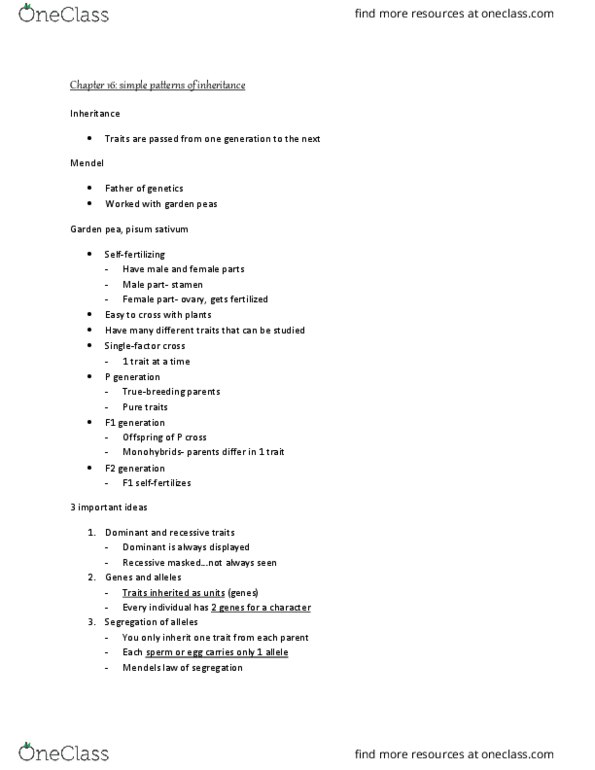 BIO 111 Lecture Notes - Lecture 16: Pea, Meiosis, Wild Type thumbnail