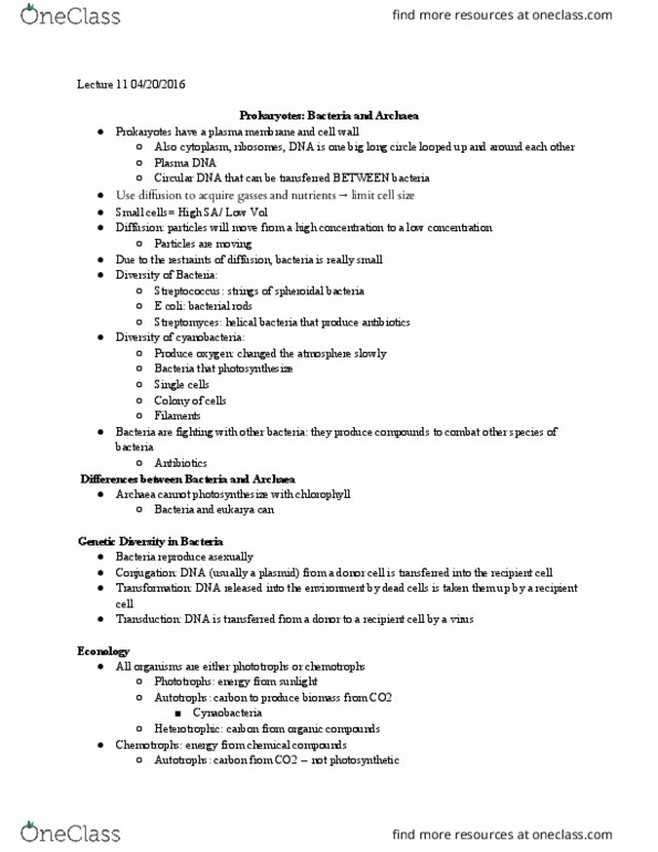 LIFESCI 1 Lecture Notes - Lecture 11: Streptococcus, Nitrogen Cycle, Plasmid thumbnail