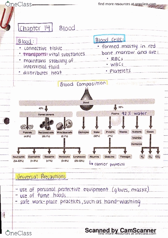 document preview image