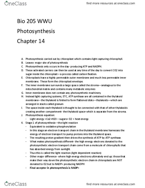 BIOL 205 Chapter Notes - Chapter 14: Glyceraldehyde, Light-Independent Reactions, Photosynthetic Reaction Centre thumbnail