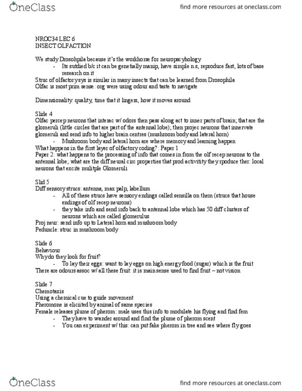 NROC34H3 Lecture Notes - Lecture 6: New Approach, Rune Rk, Histogram thumbnail