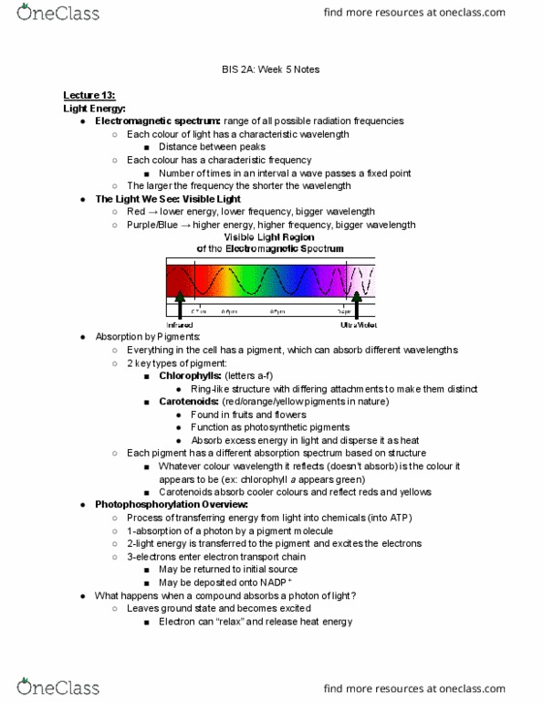 BIS 2A Lecture Notes - Lecture 5: Plasmolysis, Extracellular Fluid, Cytosol thumbnail