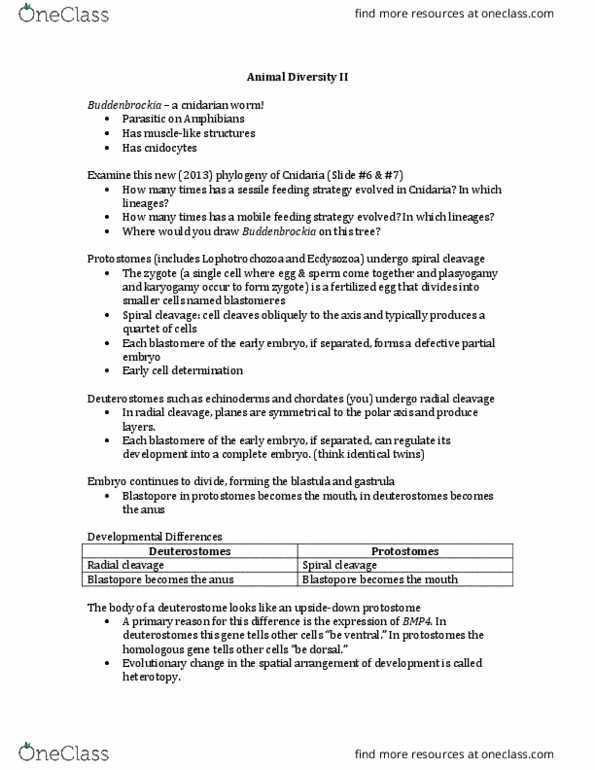 BIO 203 Lecture Notes - Lecture 35: Cuvierian Tubules, Amphisbaenidae, Commensalism thumbnail