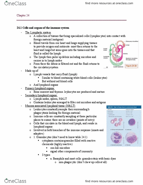 MBIO 1010 Chapter Notes - Chapter 24: Flagellin, Pattern Recognition Receptor, Exocytosis thumbnail