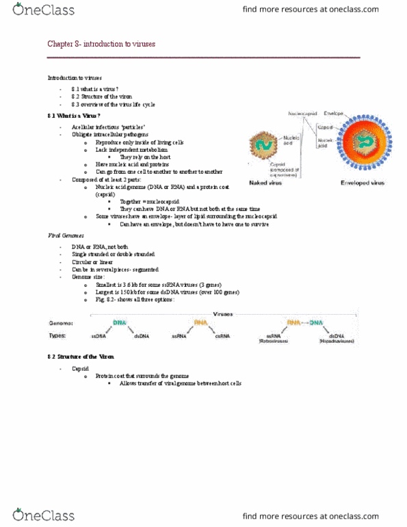 MBIO 1010 Chapter Notes - Chapter 8: Tissue Tropism, Endocytosis, Lytic Cycle thumbnail