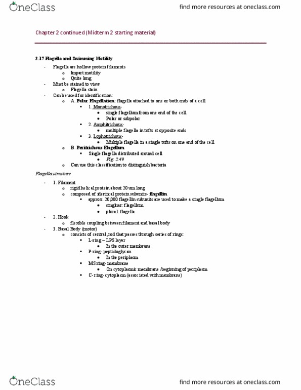 MBIO 1010 Chapter Notes - Chapter 2: Meiosis, Eukaryote, Chlorophyll thumbnail