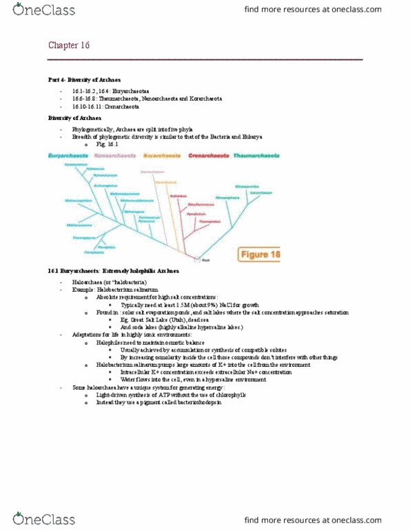 MBIO 1010 Chapter Notes - Chapter 16: Ignicoccus, Lithotroph, Nitrification thumbnail